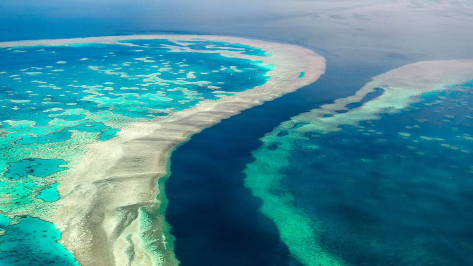 Queensland, Great Barrier Reef, du học Úc