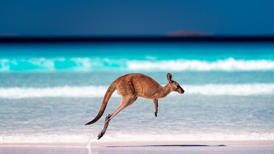 Western Australia, Australia, Tây Úc, du học Úc