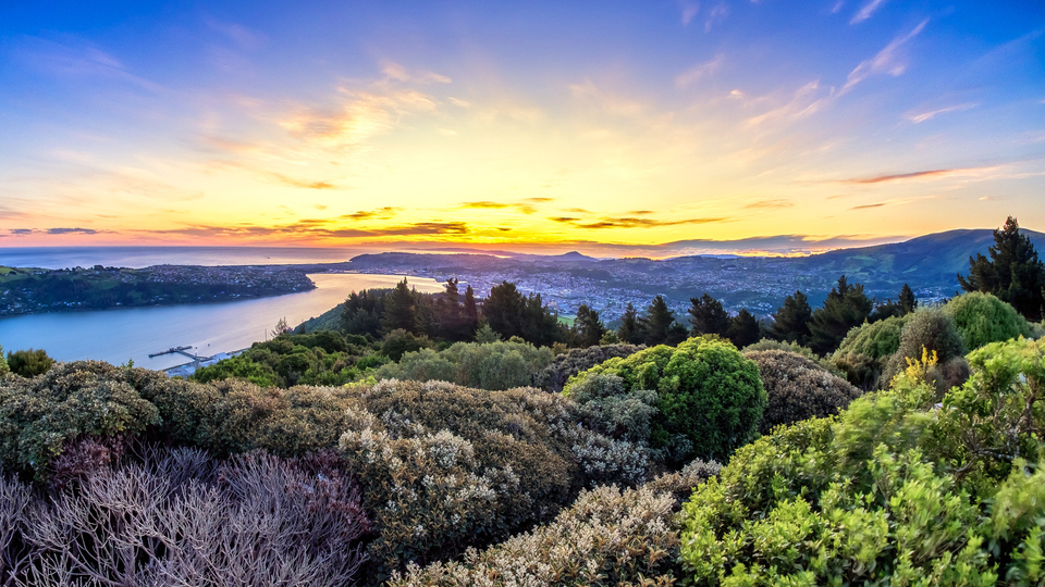 Thành phố Dunedin, Đảo Nam, du học New Zealand